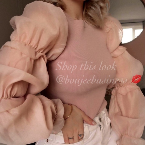 ZARA Organza Top - Picture 1 of 8